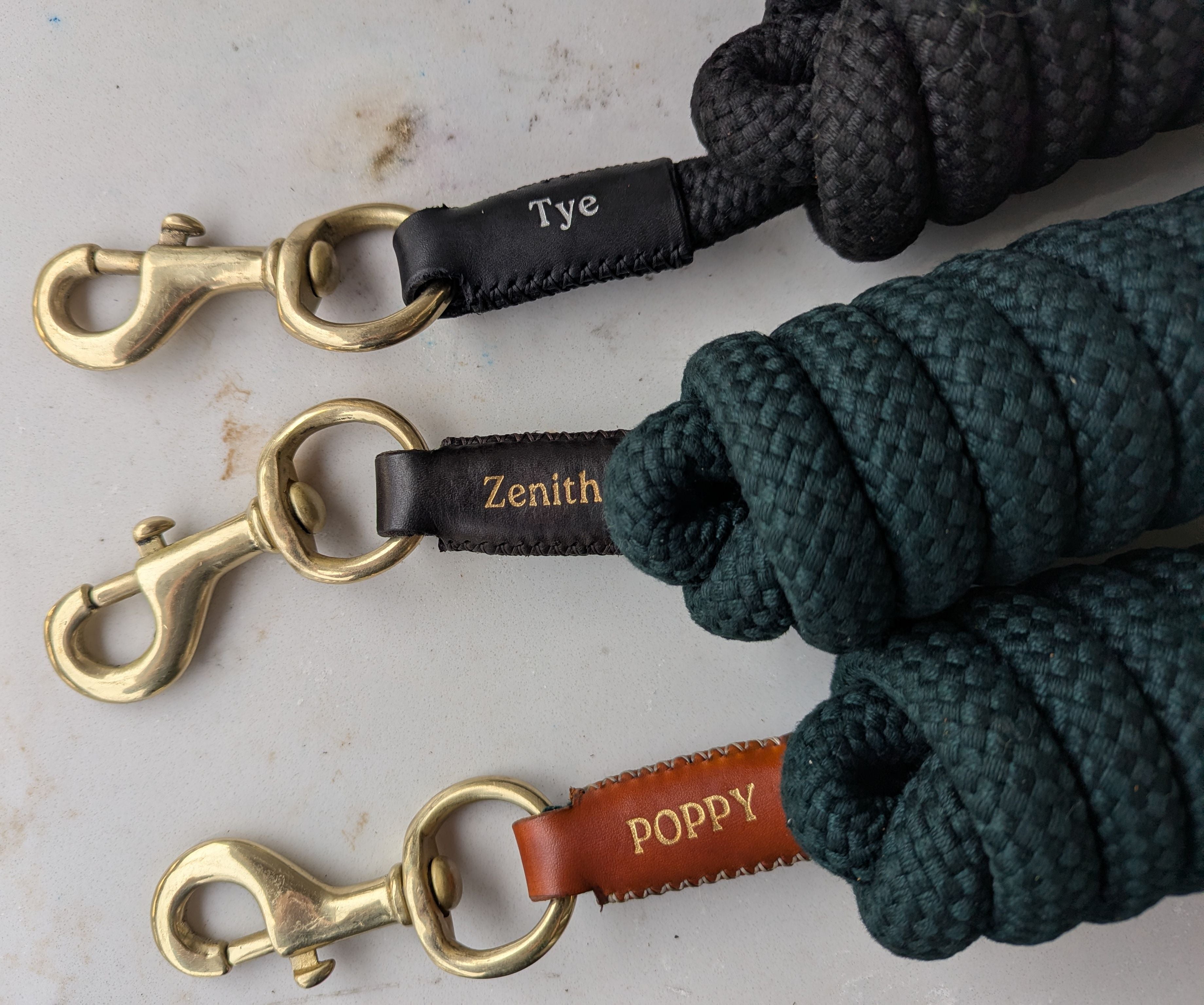 Three horse lead ropes with brass clasps and branded tags on a light background.